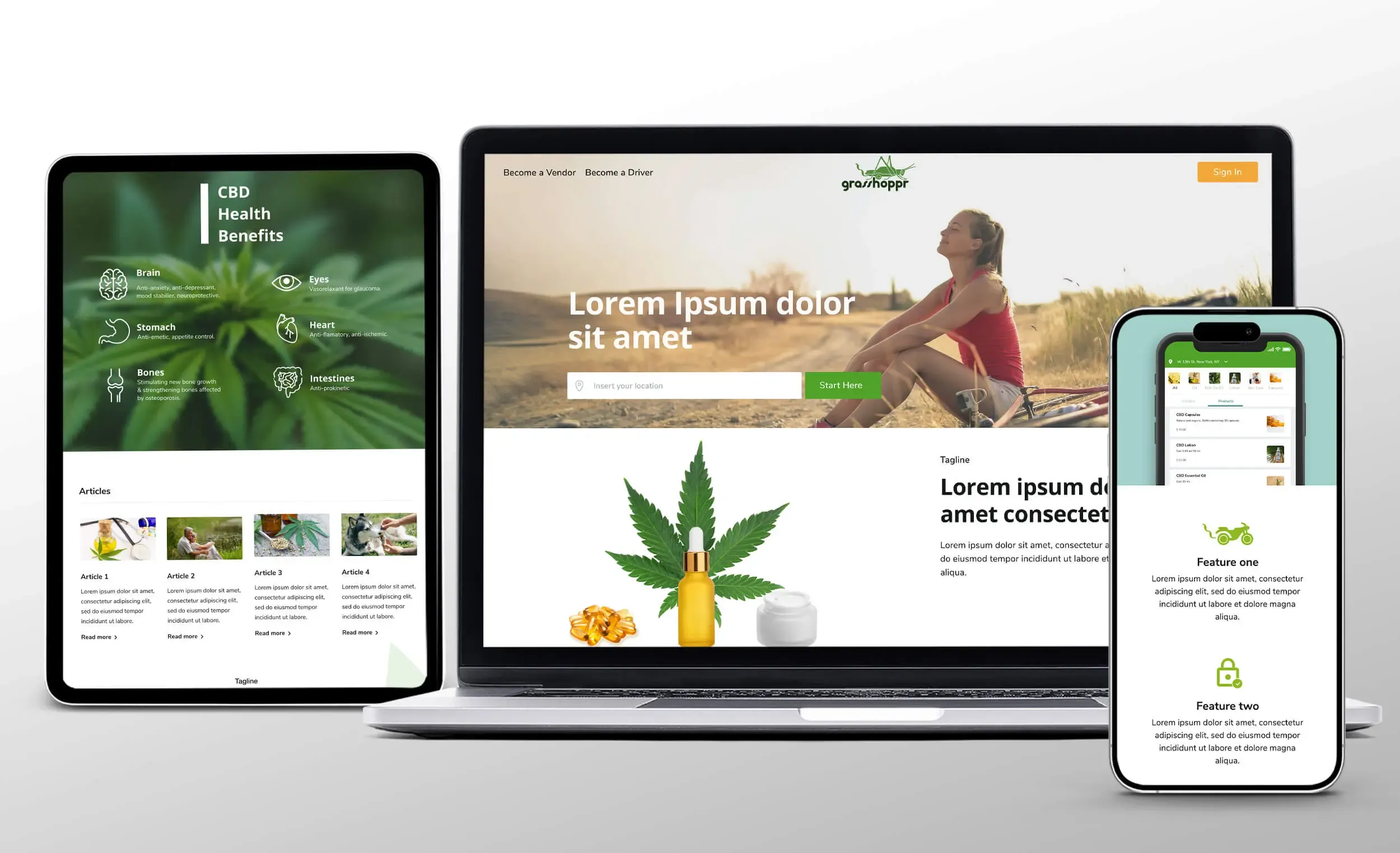 Website Experience Design